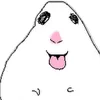 nanatspace