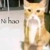 htut.aung.min
