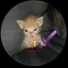 user6357478323687