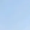 sanzbirdfarm2