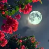 eithoo123