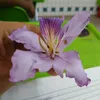 noemi.silva.8