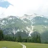 vertreterauto