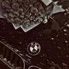 aaswov01