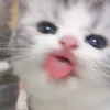 mumijaaaa