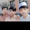 meharg9763