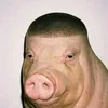 haihaiog