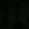 xami08977