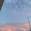 fannyyareli875