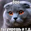 bro.you.die.and.s