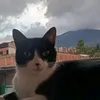 doralba.caro
