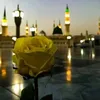faisal.murtaza95