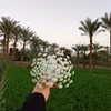 fatma.ragab895