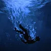 pure_pulse313
