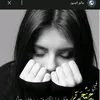user7370728502639