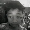 pinn_plenger1