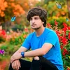 geminiedit2