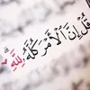 user4505698521497