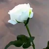 zuhaira893