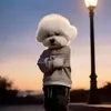 dziupejzv2