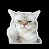 user5547880253462