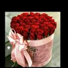 user5094416524475