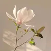 haideralisoomro60