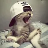 jembyuttt💤