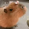 capybarascanswim