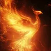 felixfeuer2