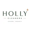 hollycleanerskahama