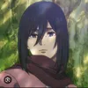 mikasa.ackerman8032