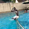 ur_x_boii