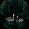 zai_nab_788