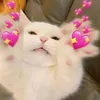 nninene