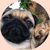 pepechuypepechuy2