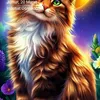 user7853005981460