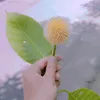 riya.moni27619