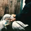 amzelyx_mell