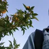 basmala.elfarmawy5