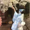 夏の風
