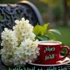 abedlghani26