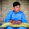 malakandking20