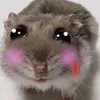 criingxbi