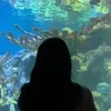 mmo_nna