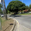 craigo286