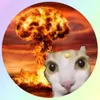 micheal_editor67