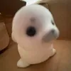 koalyn3