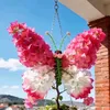 alinara25