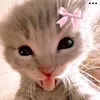 oli_2793